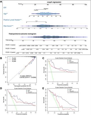 A High Epigenetic Risk Score Shapes the Non-Inflamed Tumor Microenvironment in Breast Cancer